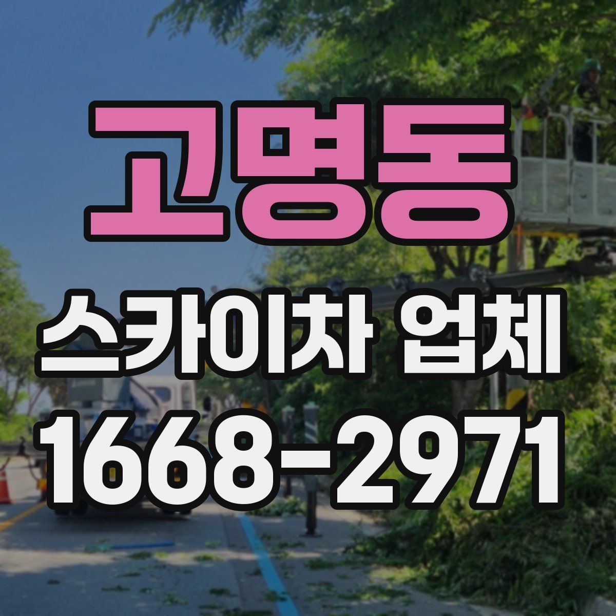 고명동 스카이차 업체
