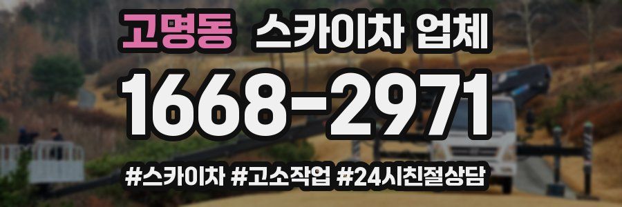 고명동 스카이차 업체