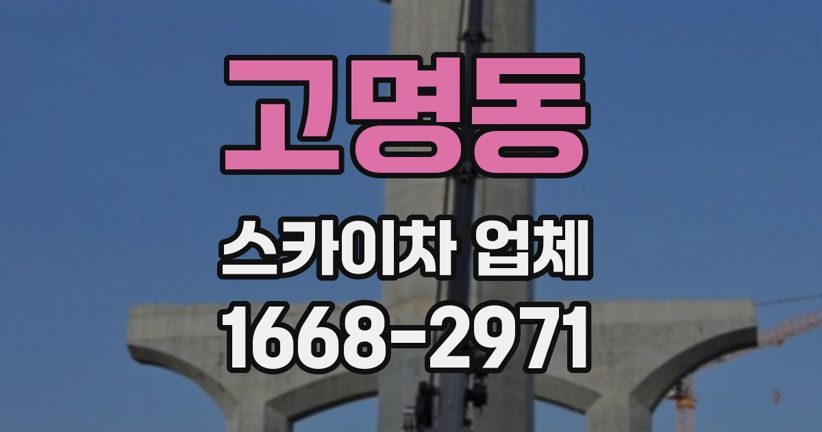 고명동 스카이차 업체
