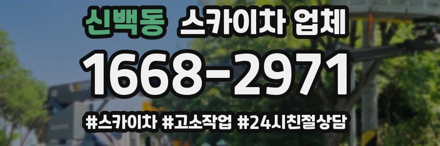신백동 스카이차 업체