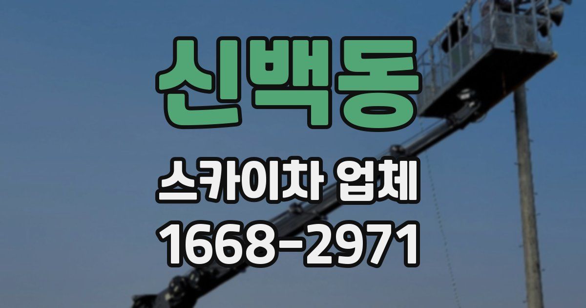 신백동 스카이차 업체