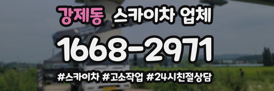 강제동 스카이차 업체