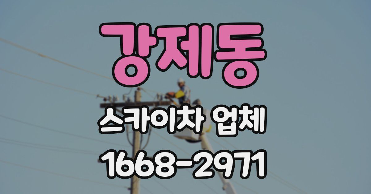 강제동 스카이차 업체
