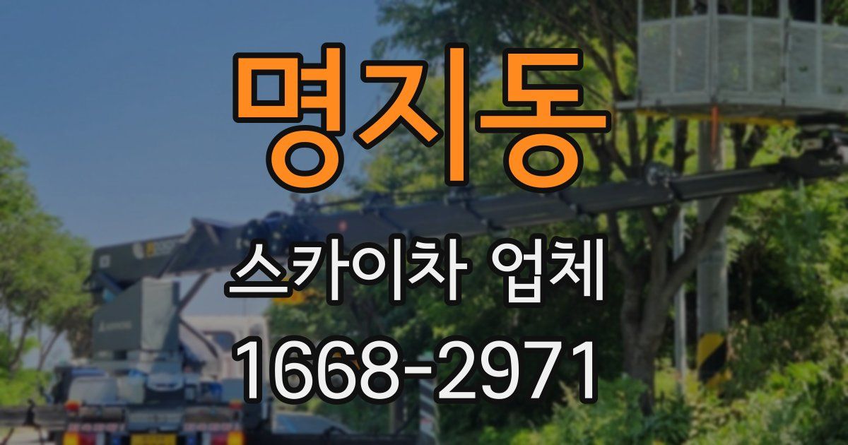 명지동 스카이차 업체