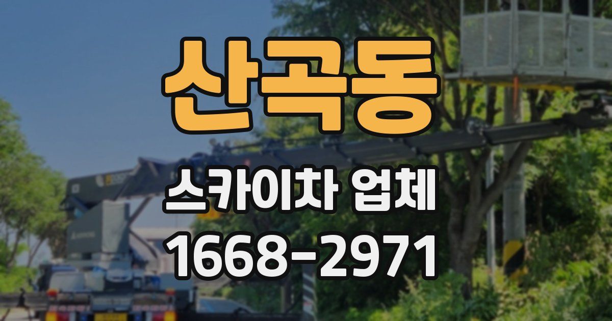 산곡동 스카이차 업체