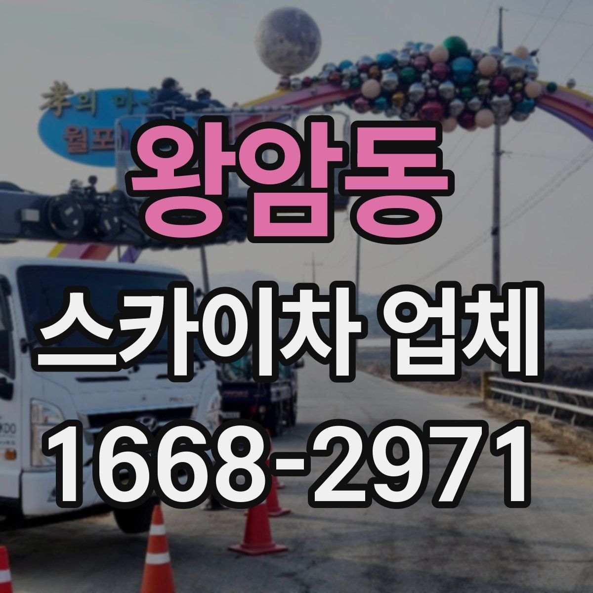 왕암동 스카이차 업체