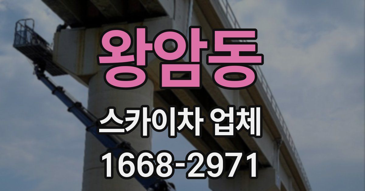 왕암동 스카이차 업체