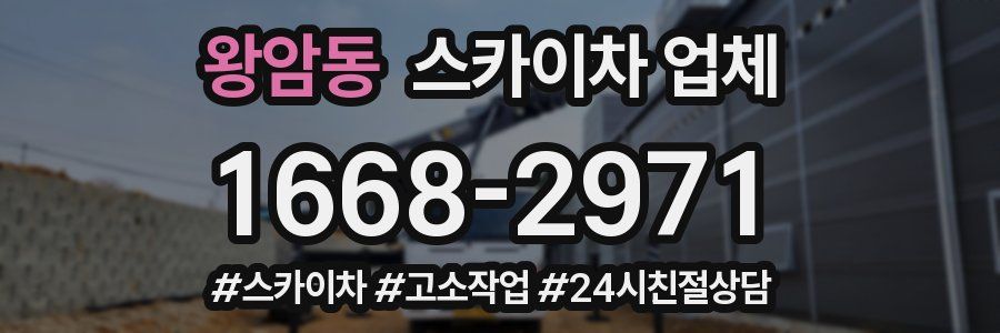 왕암동 스카이차 업체