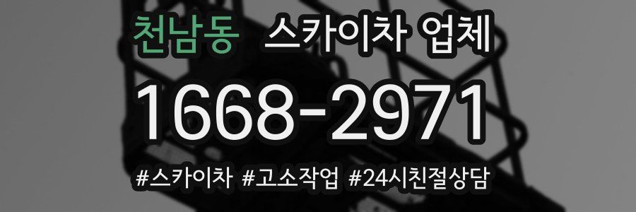 천남동 스카이차 업체