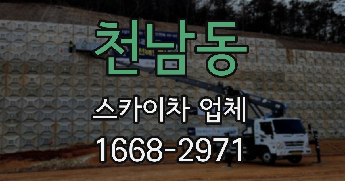 천남동 스카이차 업체