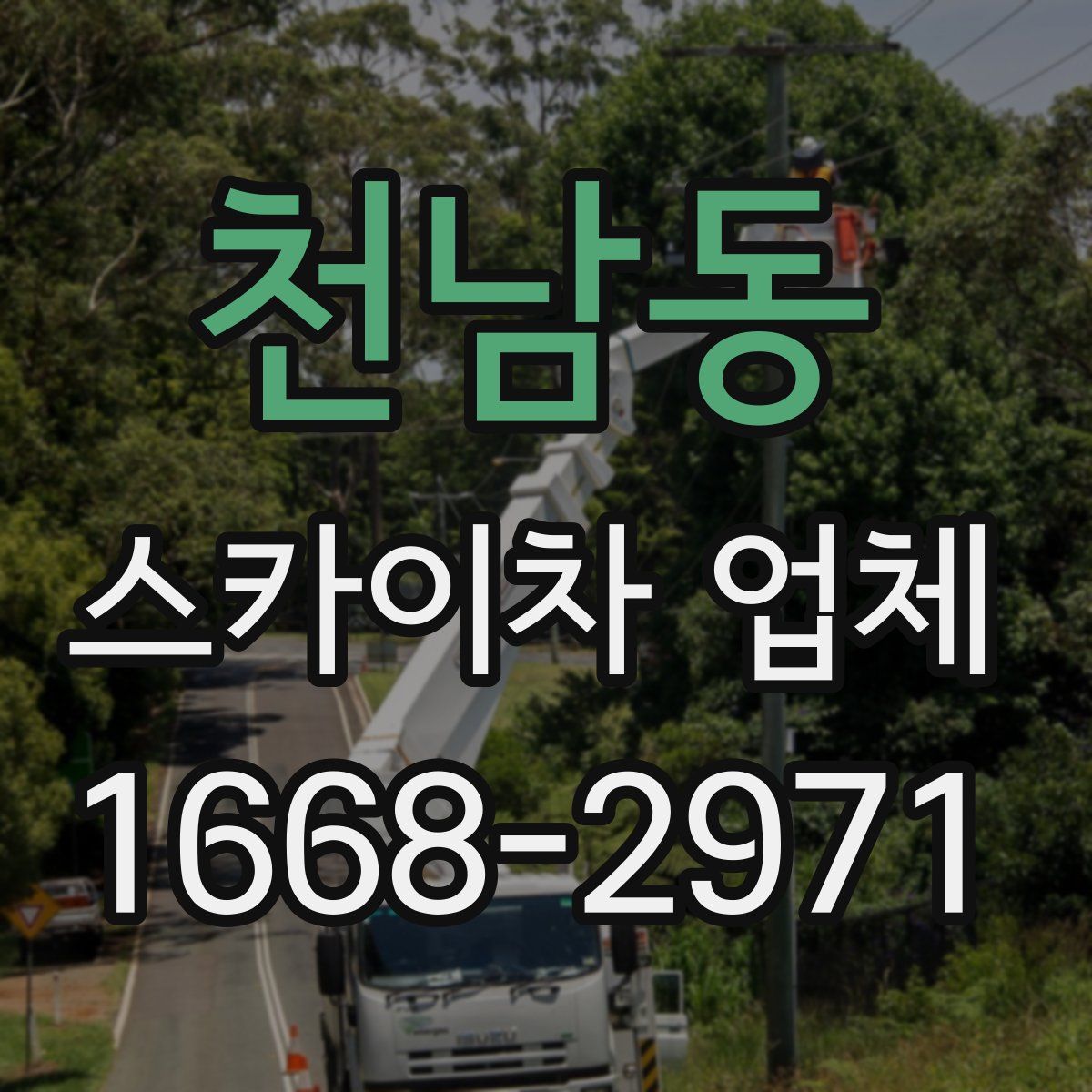 천남동 스카이차 업체