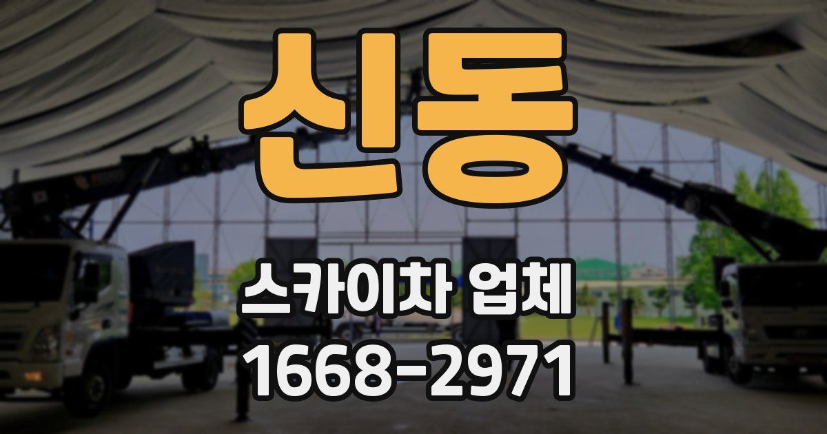 신동 스카이차 업체