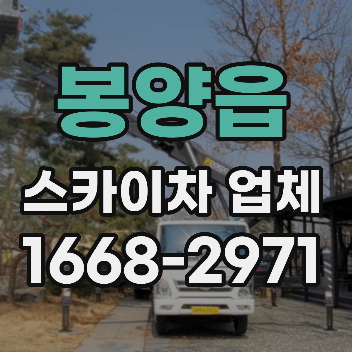 봉양읍 스카이차 업체