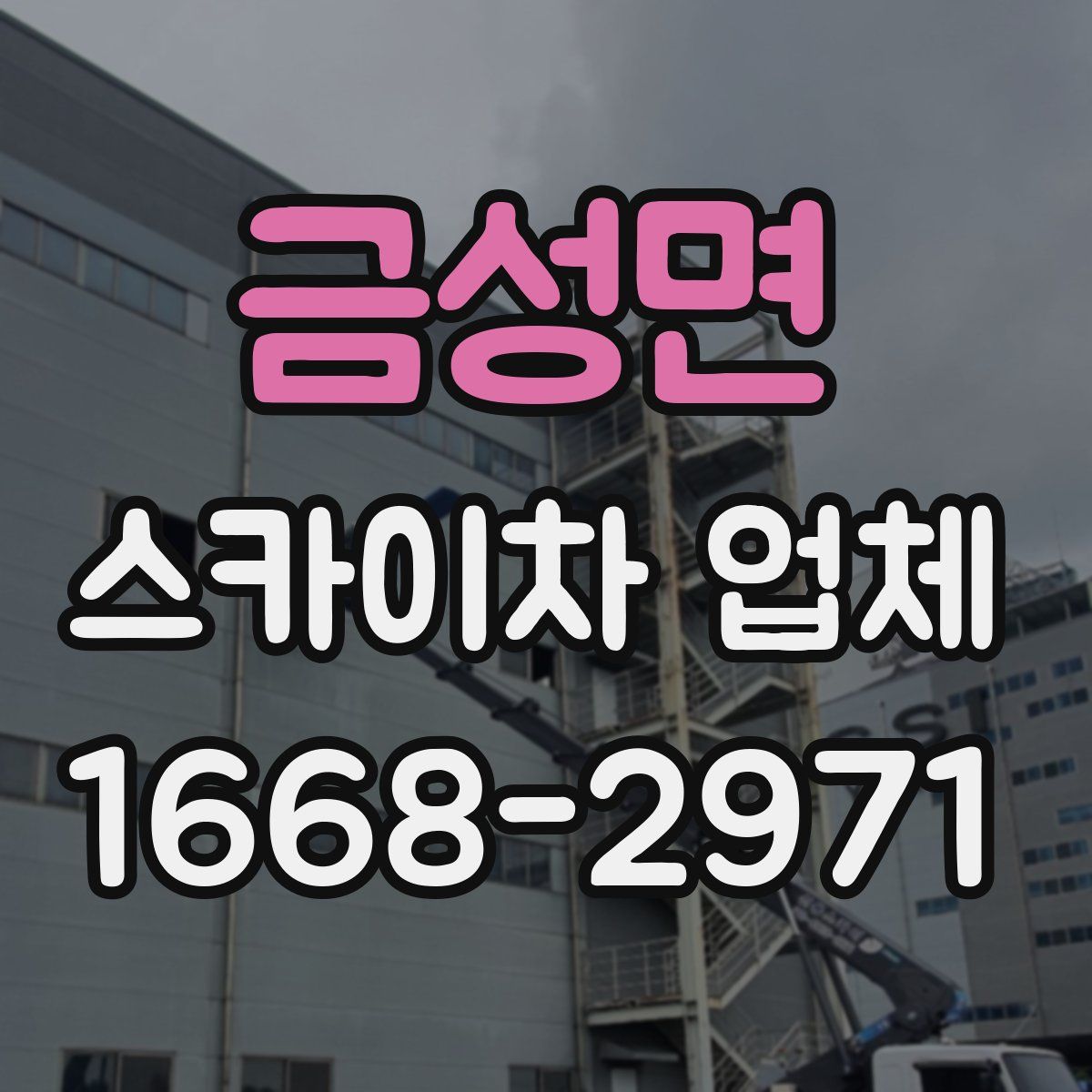 금성면 스카이차 업체