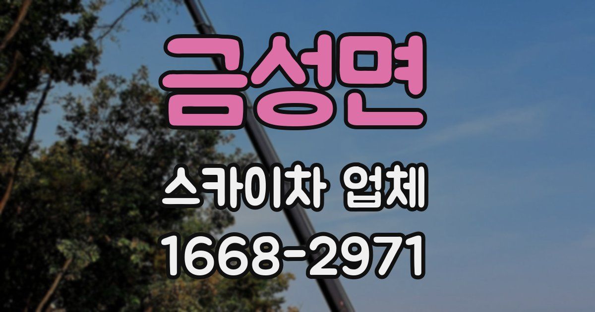금성면 스카이차 업체
