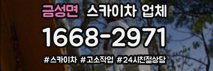 금성면 스카이차 업체