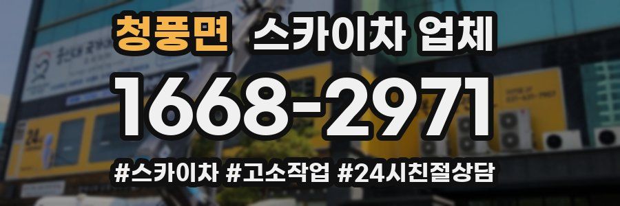 청풍면 스카이차 업체