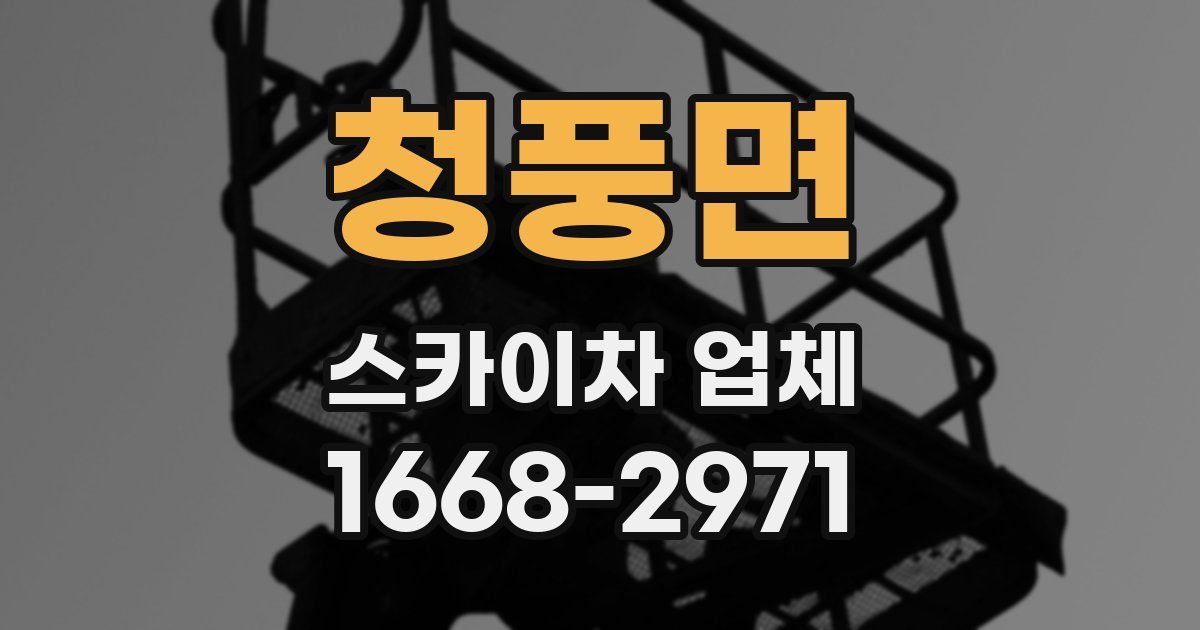 청풍면 스카이차 업체