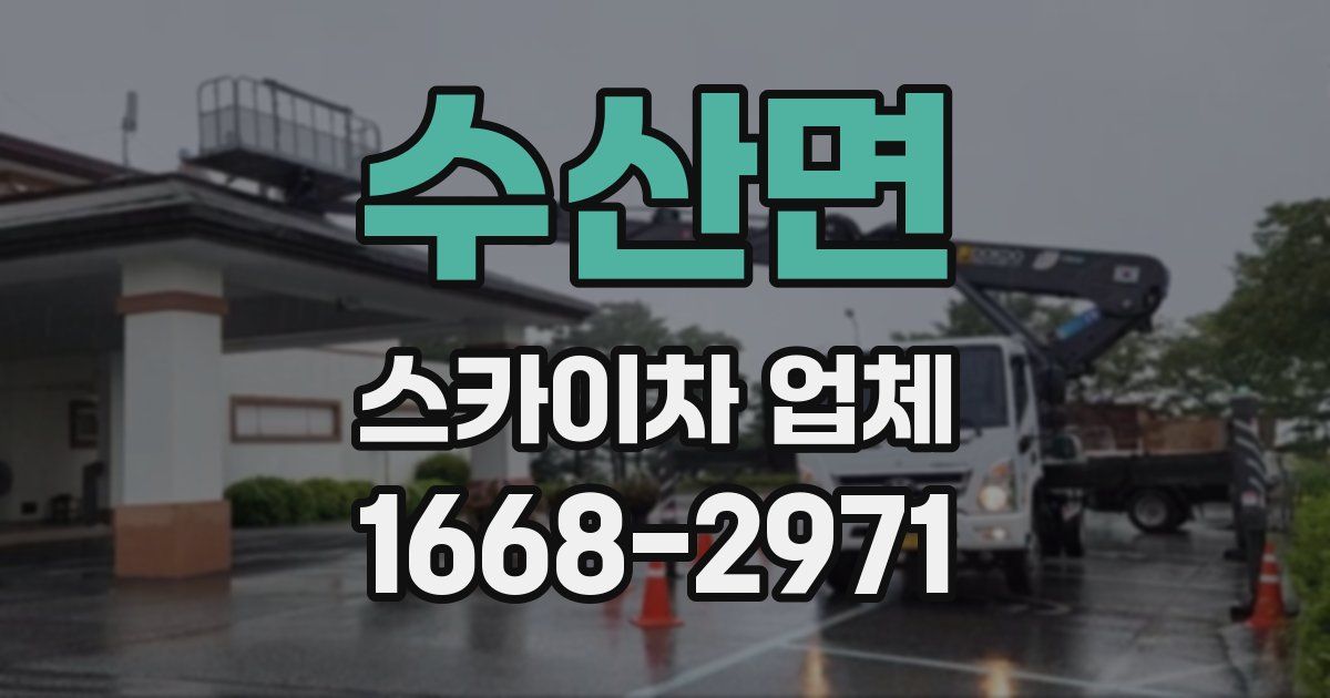 수산면 스카이차 업체