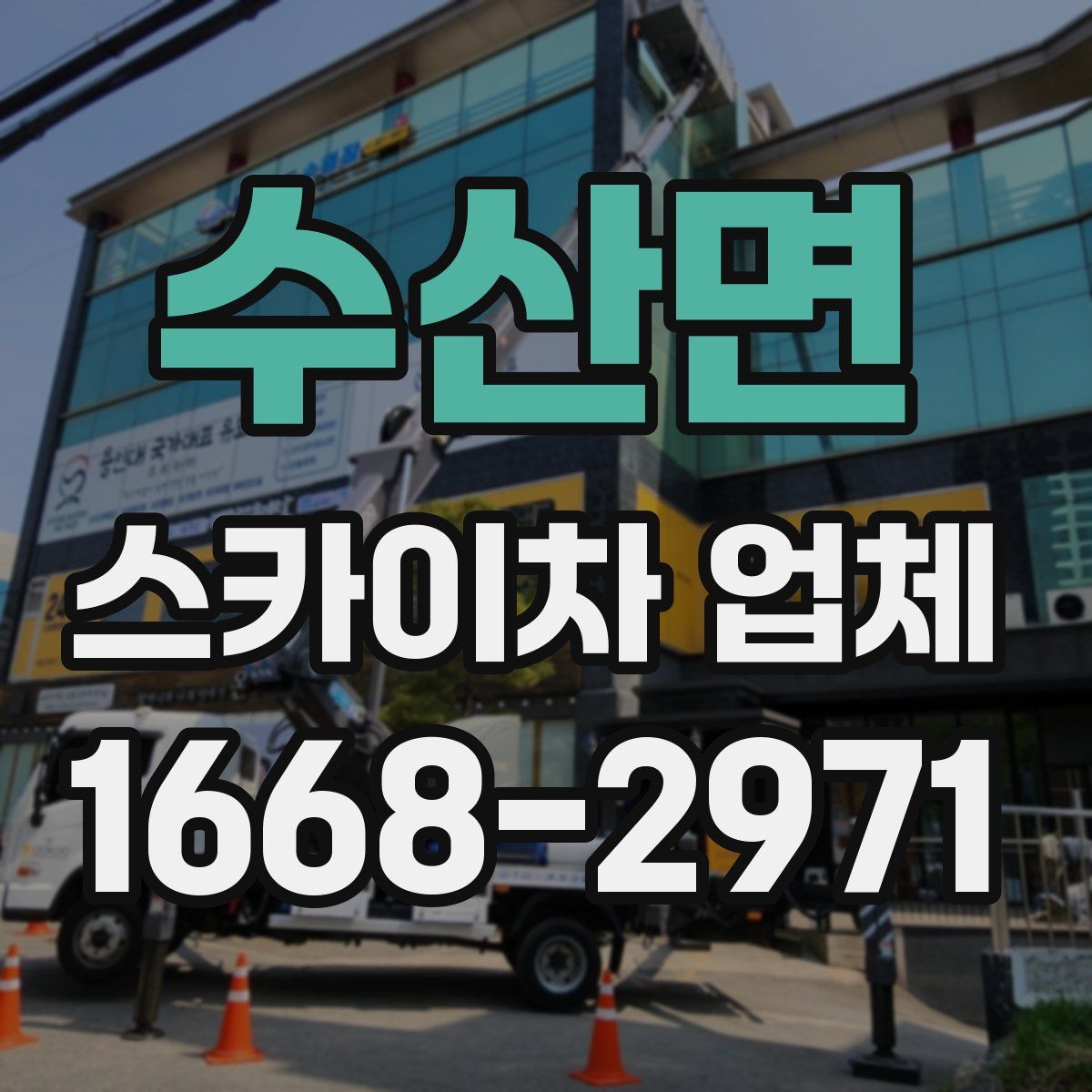 수산면 스카이차 업체