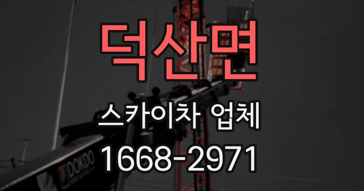 덕산면 스카이차 업체