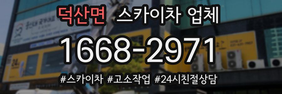 덕산면 스카이차 업체