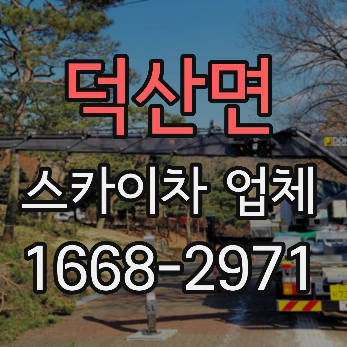 덕산면 스카이차 업체