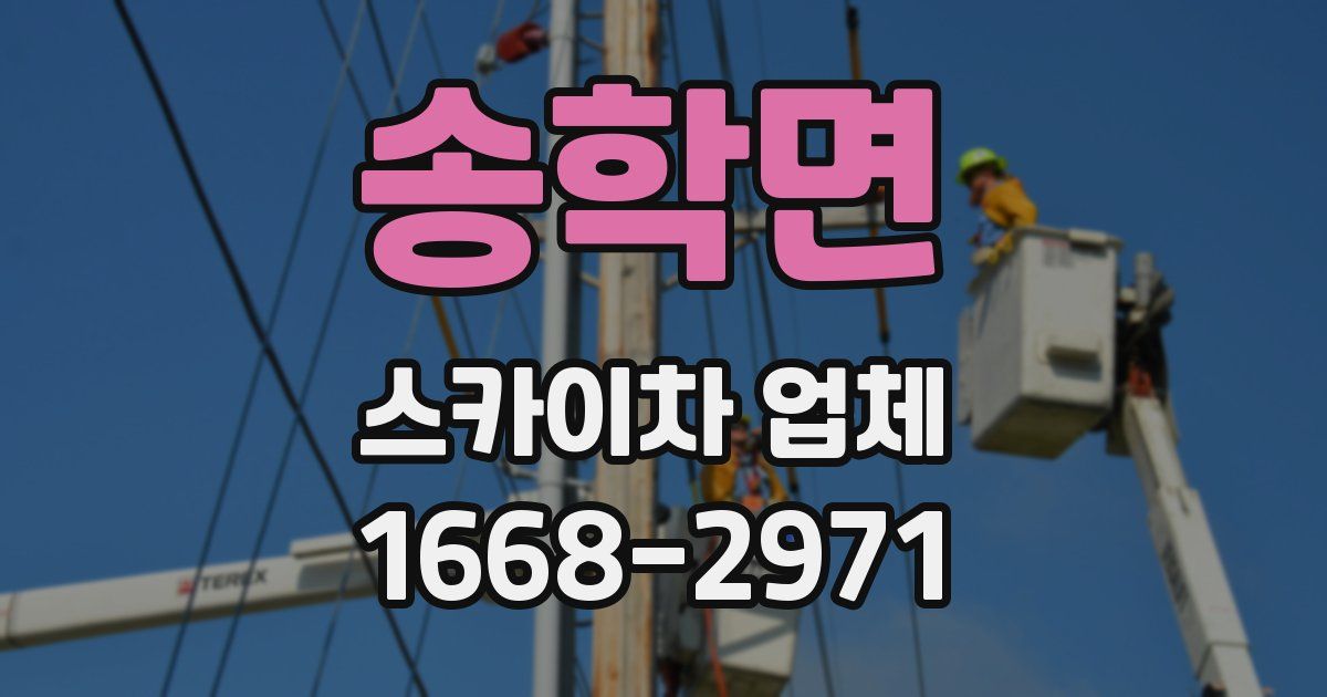 송학면 스카이차 업체