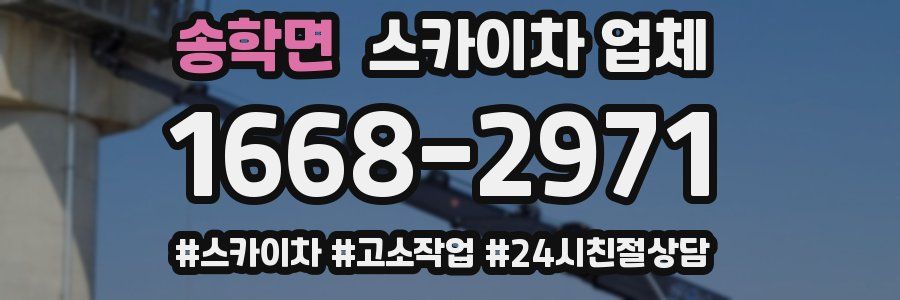송학면 스카이차 업체