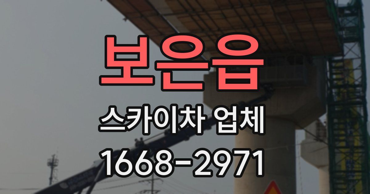 보은읍 스카이차 업체