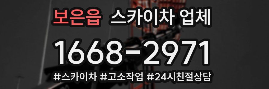 보은읍 스카이차 업체