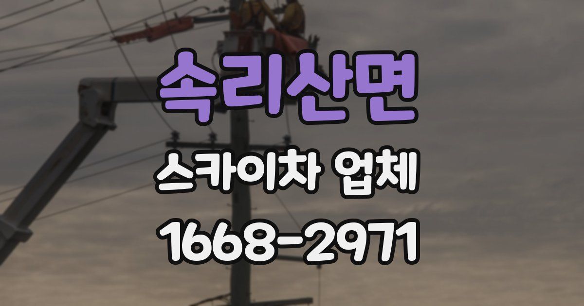 속리산면 스카이차 업체