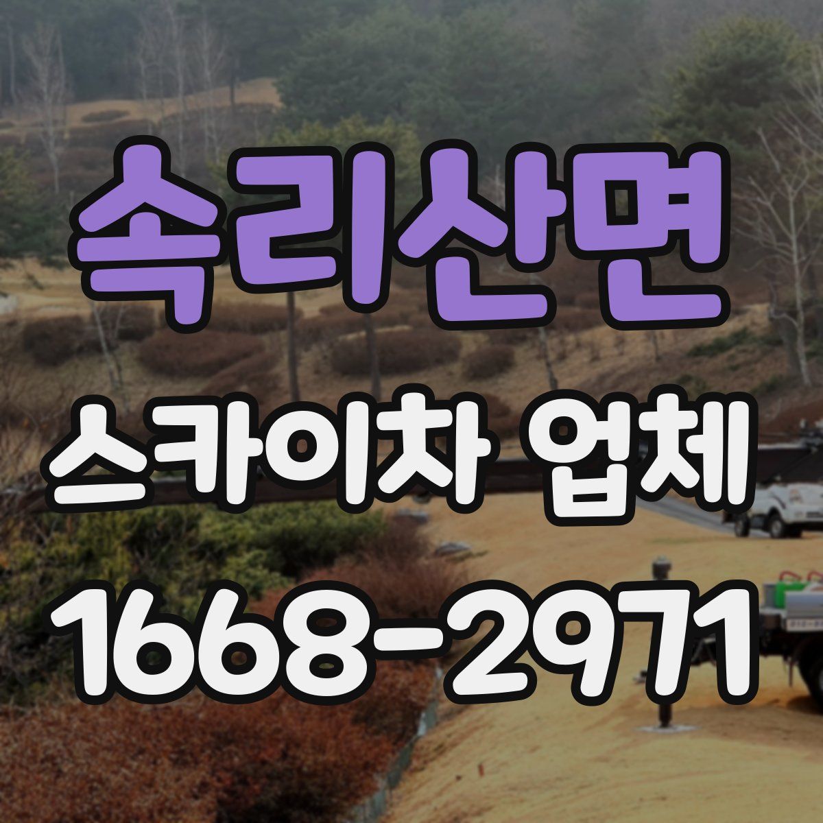속리산면 스카이차 업체