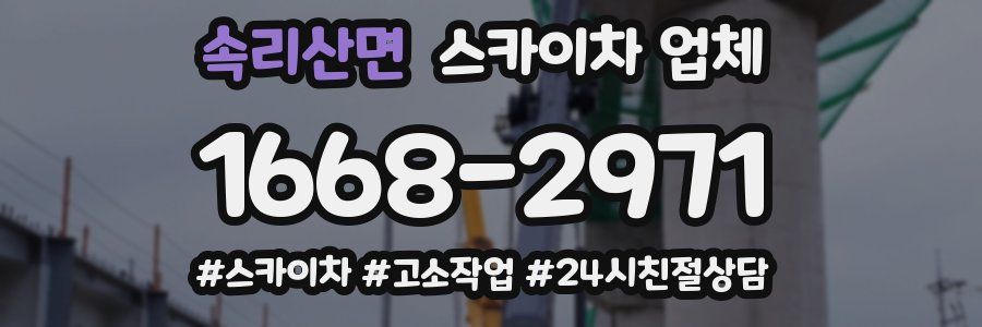 속리산면 스카이차 업체