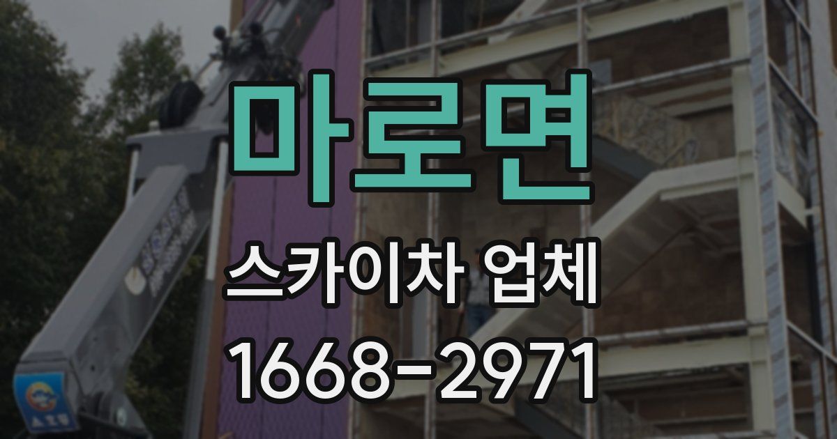 마로면 스카이차 업체