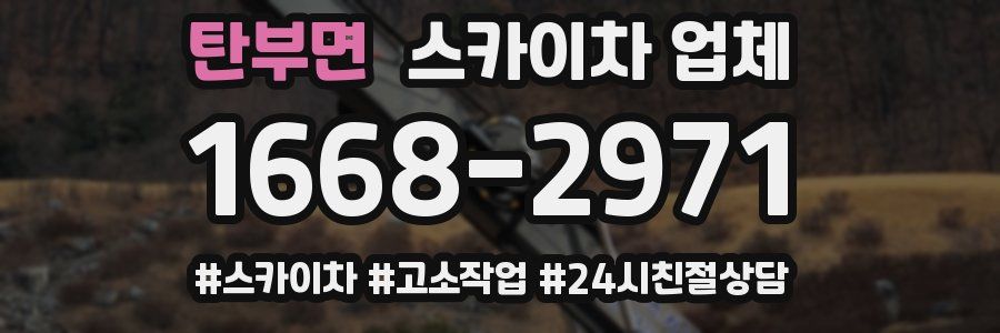 탄부면 스카이차 업체