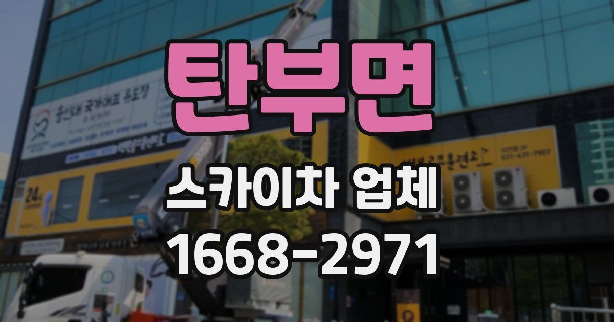 탄부면 스카이차 업체