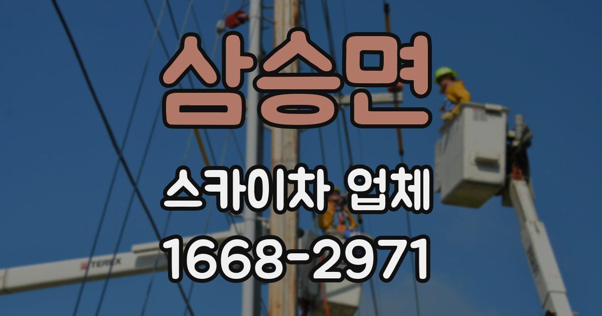 삼승면 스카이차 업체