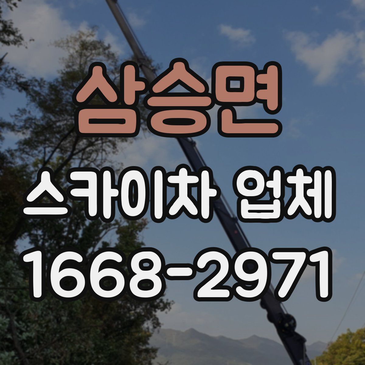 삼승면 스카이차 업체