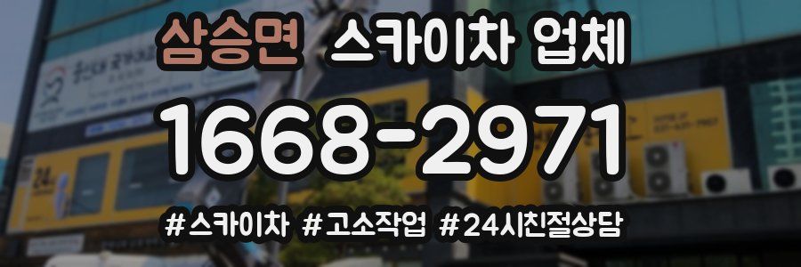 삼승면 스카이차 업체