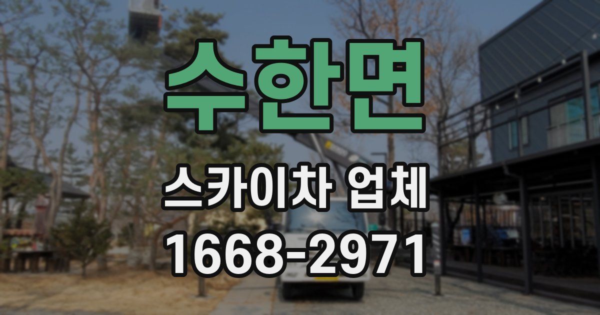수한면 스카이차 업체