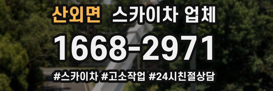 산외면 스카이차 업체