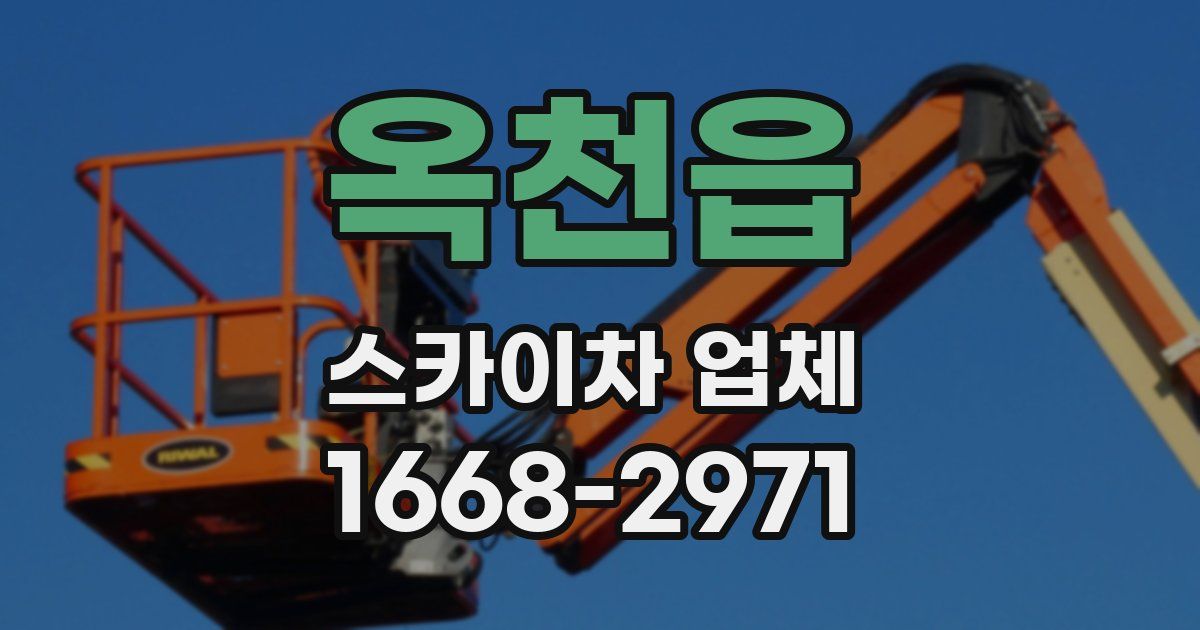 옥천읍 스카이차 업체