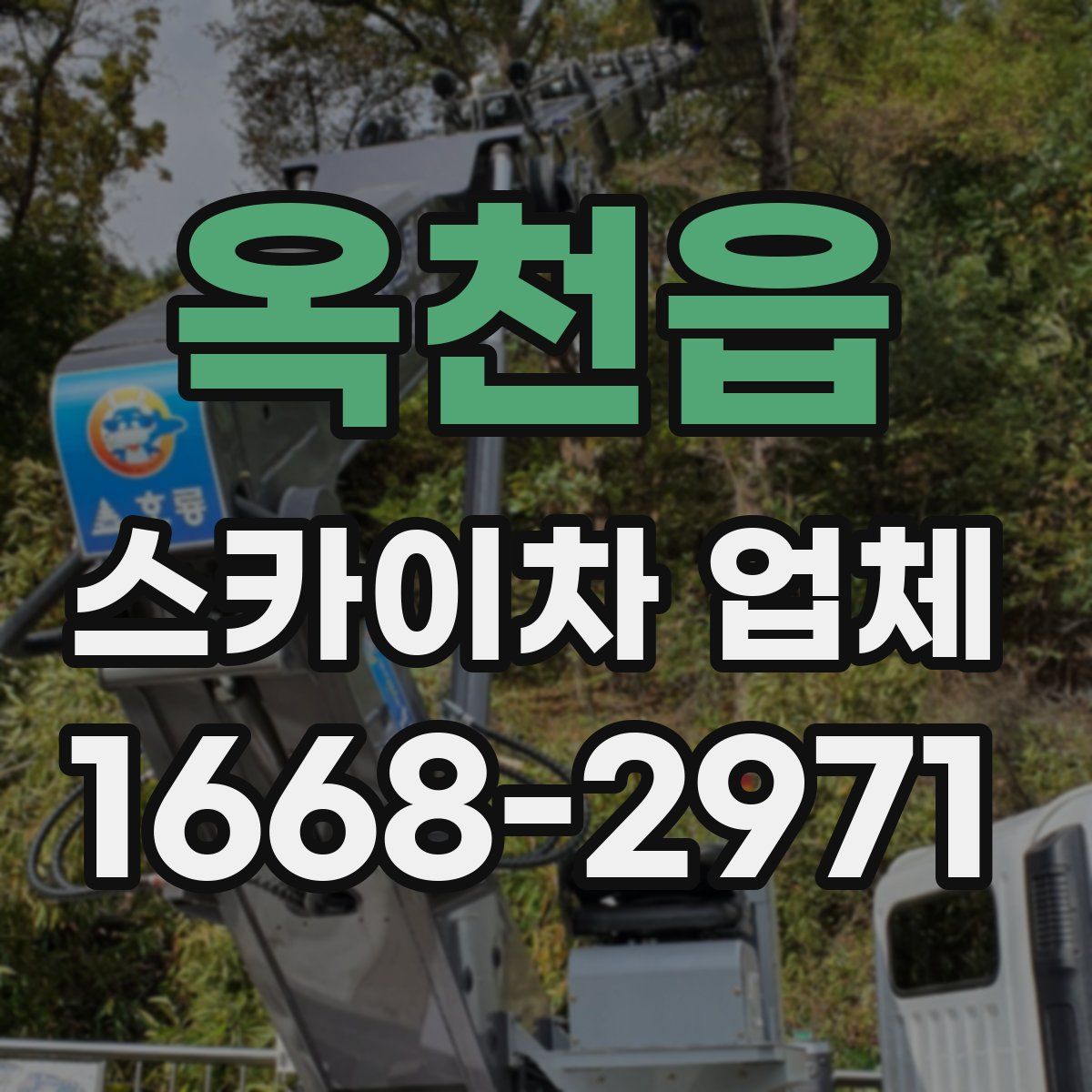옥천읍 스카이차 업체