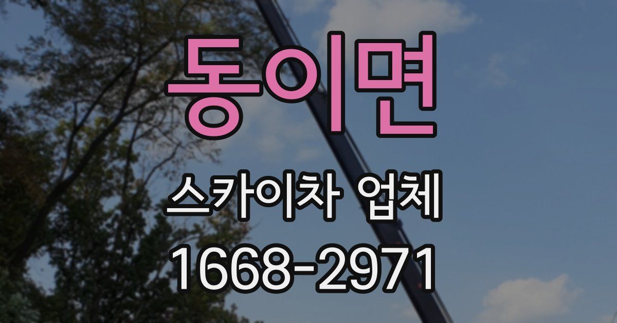 동이면 스카이차 업체