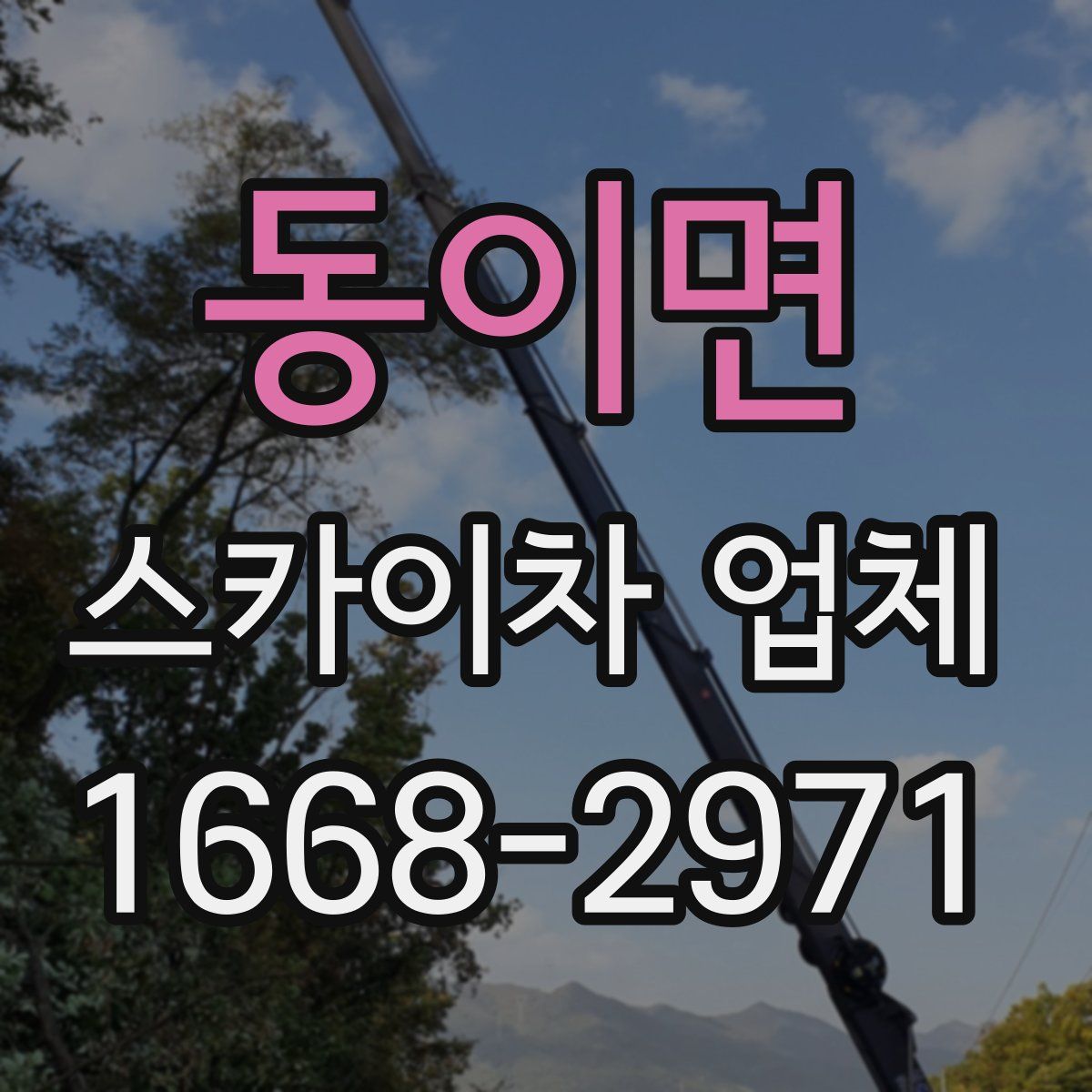 동이면 스카이차 업체