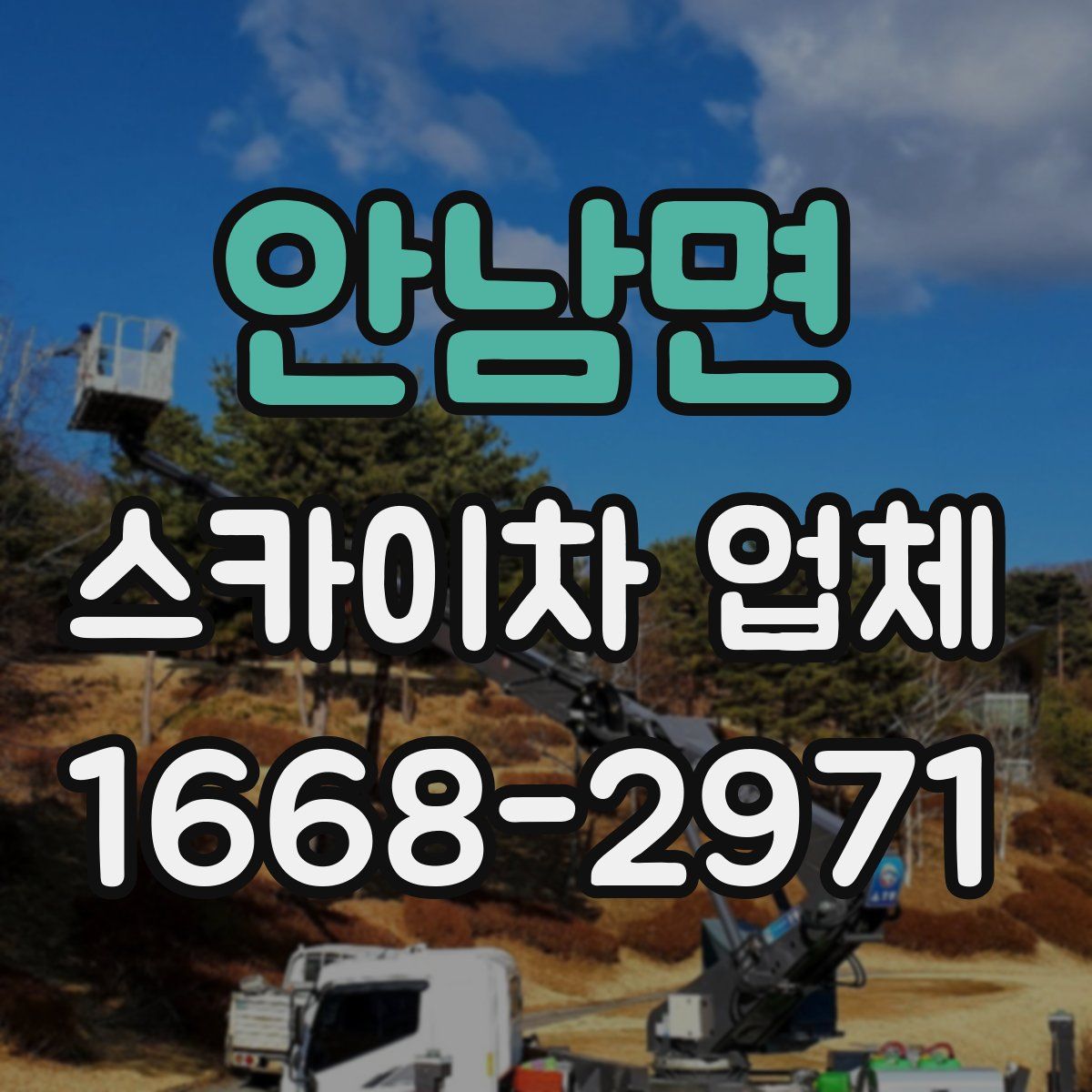 안남면 스카이차 업체