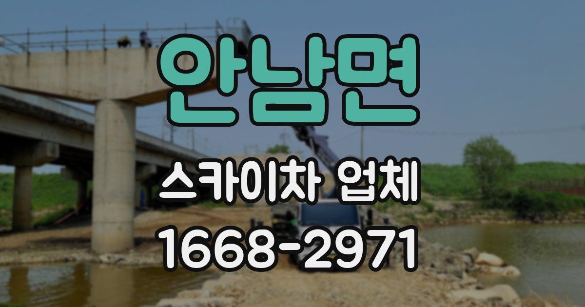 안남면 스카이차 업체