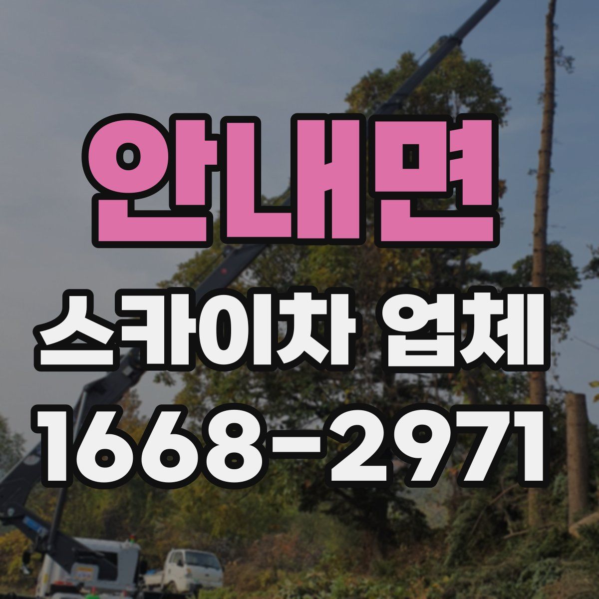 안내면 스카이차 업체