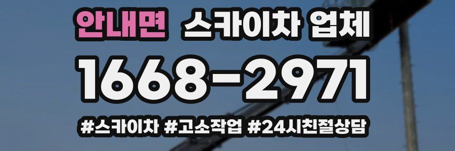 안내면 스카이차 업체